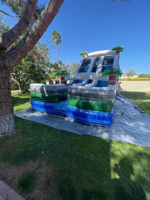 Palm Tree Slide (wet/dry)